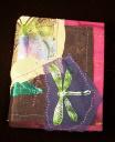 Dragonfly wing book