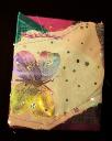 Dragonfly Wing book back