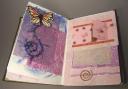 Lauraâ€™s Art Journalâ€“shared page