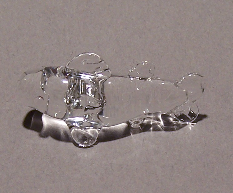 clear glass fish 2