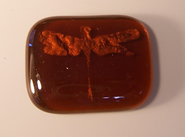 amber dragonfly, toplit