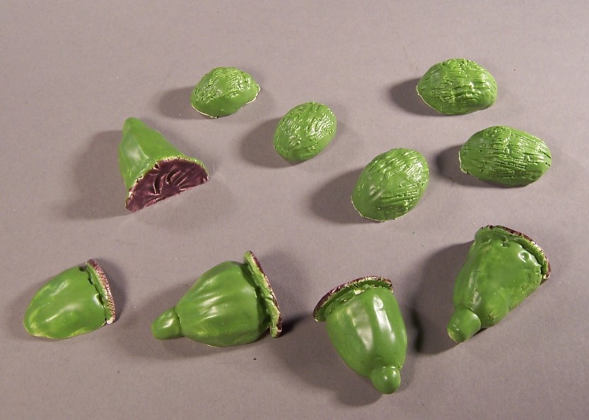 poppy seedpods and buds