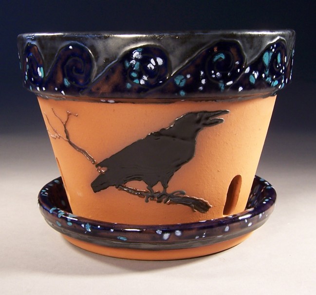 raven orchid pot