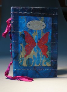 special blue butterfly book cover
