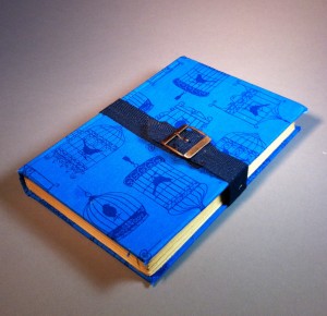 blue buckled book