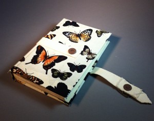 butterfly buckle book 2