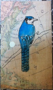 bluejay on old map
