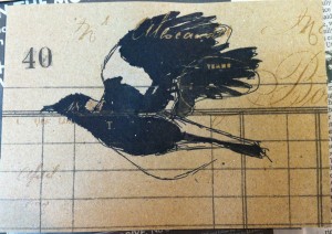 flying magpie postcard