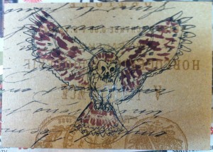 flying owl postcard