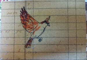 flying sparrow postcard