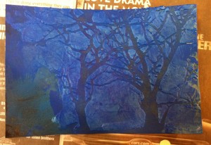 shadowed trees postcard
